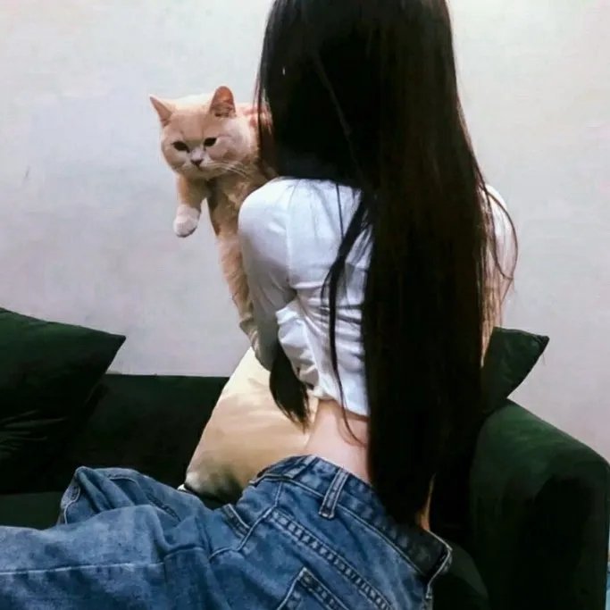 珍妮热线